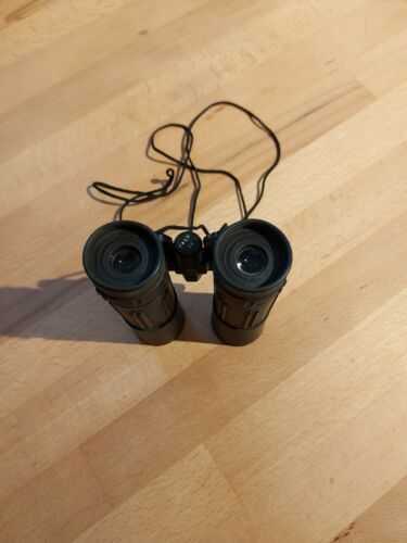 Swift Compact Binoculars model 949 - 10 x 25w.a.