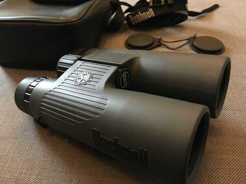 Bushnell Natureview 8 x 42 Binoculars- Ex/ Con with case, strap, and covers