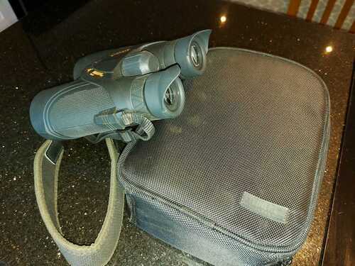 Steiner nighthunter xp 10x56 binoculars