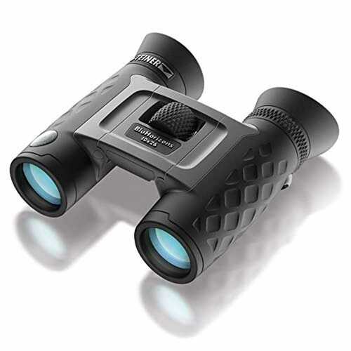 Steiner BluHorizons 10x26 binoculars - sun protection for the eyes, compact, lig