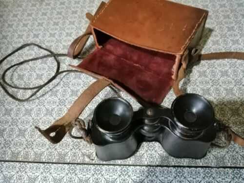 Vintage Binoculars In Case