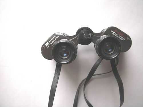 Vintage Japan Hanimex 8x30 Binoculars; Black Case, very clean, free postage