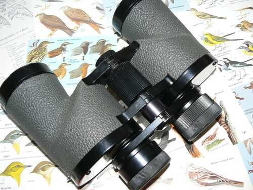 SWIFT AUDUBON  `GOLD STRIPE `8.5 x 44 PORROPRISM BINOCULARS- LOVELY SHARP OPTICS