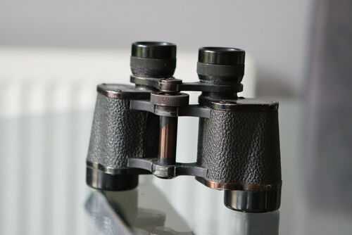 A Pair of E. Leitz Bidoxit 6x30 Binoculars